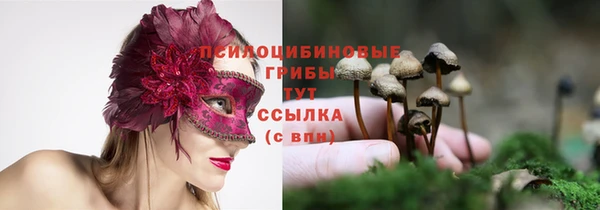 кокс Карпинск