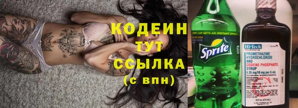 хмурый Инта