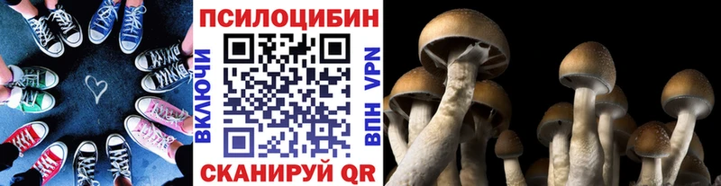 Галлюциногенные грибы MAGIC MUSHROOMS  наркота  Катайск 